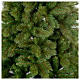 Albero di Natale 150 cm verde Rocky Ridge Pine s4