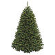 Albero di Natale 210 cm verde Rocky Ridge P. s1