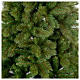 Albero di Natale 210 cm verde Rocky Ridge P. s4