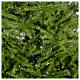 Sapin de Noël 210 cm vert Aosta s2