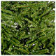 Albero di Natale 210 cm verde Aosta s2