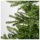 Christmas tree 230 cm green Aosta s3