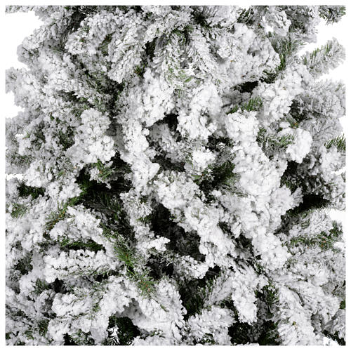 Christmas tree 230 cm covered with snow Danzica 2