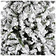 Christmas tree 230 cm covered with snow Danzica s2