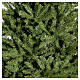Grüner Weihnachtsbaum 210cm Mod. Dunhill Fir s4