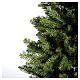 Albero di Natale 225 cm verde Dunhill Fir s3