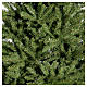 Albero di Natale 225 cm verde Dunhill Fir s4