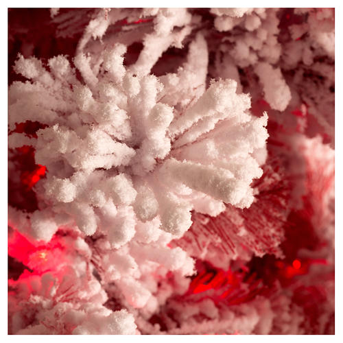 Albero di Natale 230 cm Red Velvet abete innevato 500 luci led uso interno 3