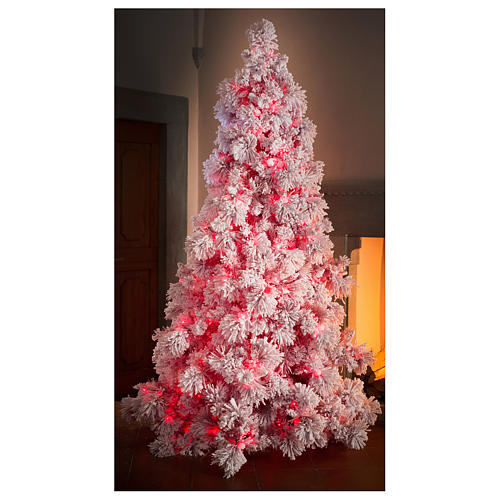 Albero di Natale 230 cm Red Velvet abete innevato 500 luci led uso interno 4