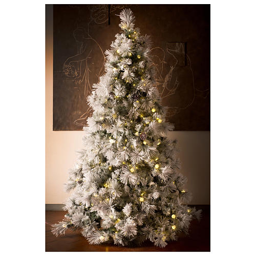 Albero di Natale 230 cm pino innevato con pigne naturali 450 luci led interno feel real 8