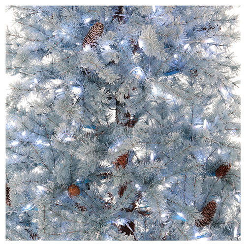 Sapin de Noël 210 cm Victorian Blue givré bleu pommes de pin naturelles 350 lumières Led intérieur et extérieur 2