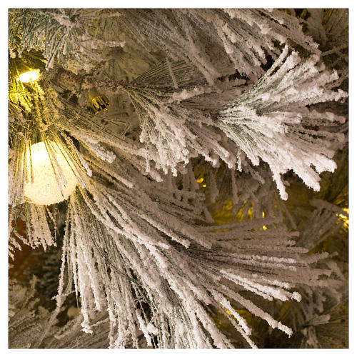 Albero Natale 200 cm pino innevato con pigne naturali 350 luci led interno feel real 4