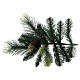 Weihnachtsbaum grün mit Tannenzapfen Carolina, 225 cm s5