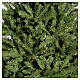 Sapin de Noël artificiel 210 cm vert Dunhill Fir s4