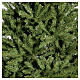 Dunhill Fir artificial Christmas tree, green, 89 in s4