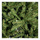Dunhill Fir artificial green Christmas tree, 225 cm s2