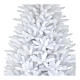Sapin de Noël 210 cm blanc Dunhill s2