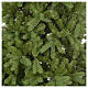 Weihnachtsbaum künstlich grün Bayberry Spruch, 225 cm s3