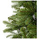 Green poly Bayberry Spruce Christmas tree 225 cm s4