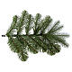 Weihnachtsbaum aus Poly grün Bayberry Spruce, 270 cm s5