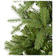 Slim green poly Bayberry Spruce Christmas tree 180 cm s4