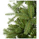 Weihnachtsbaum Poly feel real grün Bayberry S., 210 cm s4