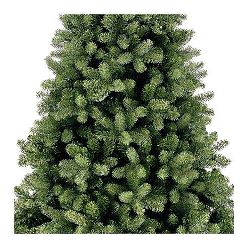 Poly Bayberry Spruce Hinged Christmas tree 365 cm 2