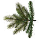 Albero di Natale artificiale 150 cm verde Rocky Ridge Pine s5