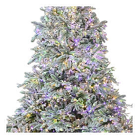 Christmas tree 195 cm, 3 coloured LEDs Poly Andorra Frosted