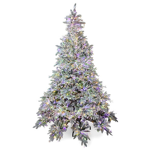 Christmas tree 195 cm, 3 coloured LEDs Poly Andorra Frosted 1