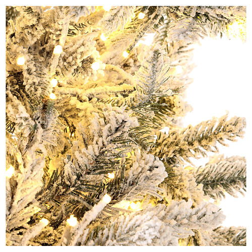 Albero di Natale 210 cm Poly 2400 LED 3 colori Andorra Frosted 9