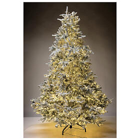 Weihnachtsbaum mit 2900 LEDs in 3 Farben Andorra Frosted Poly, 225 cm