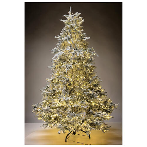 Weihnachtsbaum mit 2900 LEDs in 3 Farben Andorra Frosted Poly, 225 cm 2