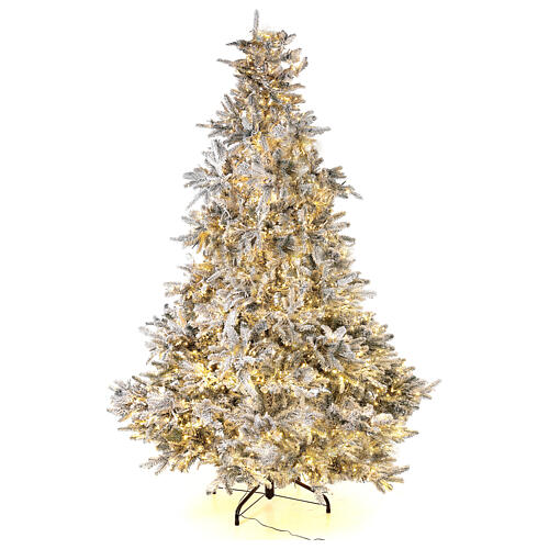 Weihnachtsbaum mit 2900 LEDs in 3 Farben Andorra Frosted Poly, 225 cm 3