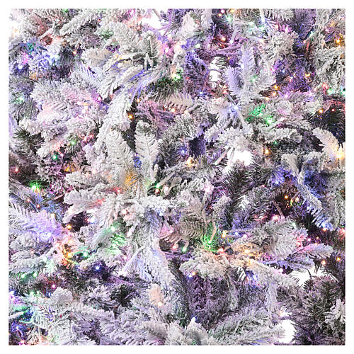 Weihnachtsbaum mit 2900 LEDs in 3 Farben Andorra Frosted Poly, 225 cm 4