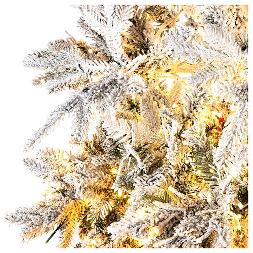 Weihnachtsbaum mit 2900 LEDs in 3 Farben Andorra Frosted Poly, 225 cm 6