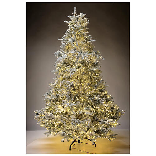 Andorra Frosted Poly Christmas tree of 225 cm with 2900 three-coloured LED lights 2