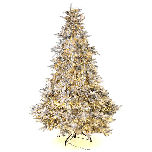 Andorra Frosted Poly Christmas tree of 225 cm with 2900 three-coloured LED lights 3
