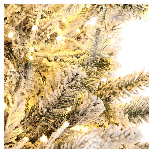 Frosted Christmas tree 225 cm 2900 3 colored LEDs Poly 9