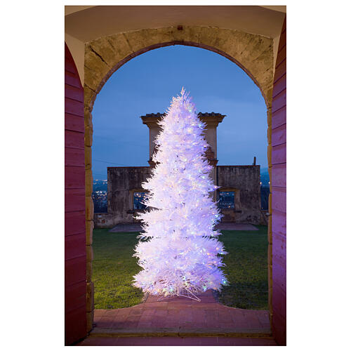 STOCK Winter Glamour Christmas tree 270 cm with 900 multicolour LEDs outdoor 1