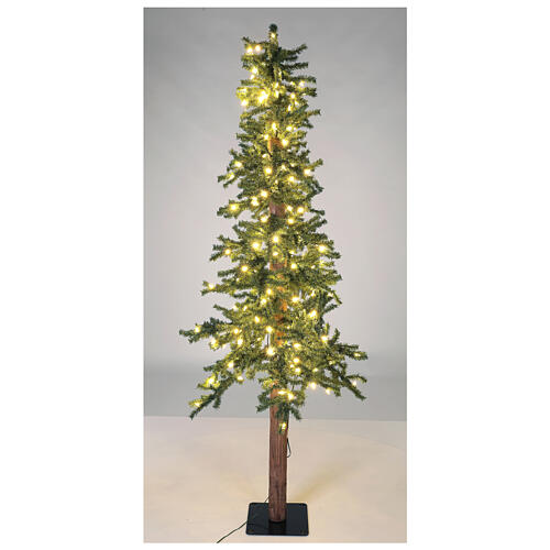 STOCK Slim Forest Christmas tree 180 cm 200 warm white LEDs outdoor 3