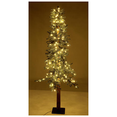STOCK Slim Forest Christmas tree 180 cm 200 warm white LEDs outdoor 4