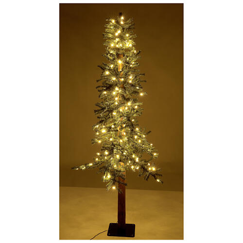 STOCK Slim Forest Christmas tree 180 cm 200 LEDs outdoor 4