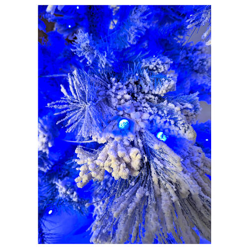 STOCK Flocked Virginia Blue Christmas tree 200 cm 250 blue LEDs indoor 5