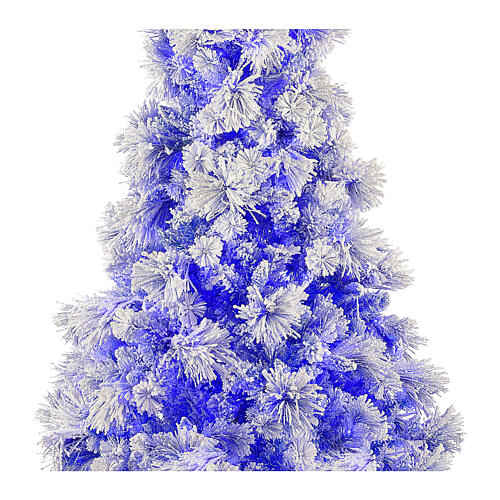 STOCK Árvore de Natal 230 cm nevada modelo Virginia Blue 400 lâmpadas LED, para Interior 2