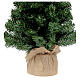 Slim Noble Spruce Christmas Tree with jute bag 60 cm s3