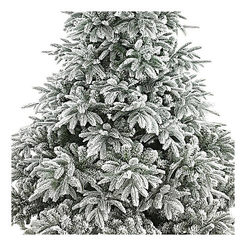 Weihnachtsbaum Andorra Frosted, 180 cm 2