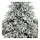 Poly Andorra Frosted Christmas Tree 210 cm s2