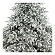 Albero di Natale 210 cm floccato poly Andorra Frosted s2