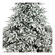 Albero di Natale 240 cm poly floccato Andorra Frosted s2